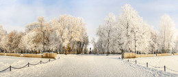 in the park / ***