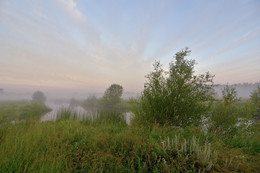 Foggy morning / ***