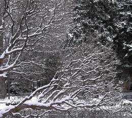 Winter schedule / ***