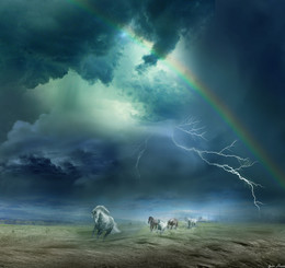 Storm / ***