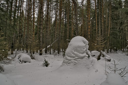 Last Snow / ***