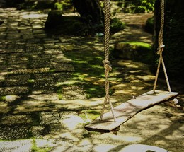 swing / ***