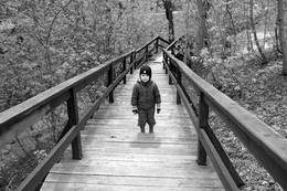 Up the Down Staircase / ***