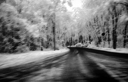 winter / ***