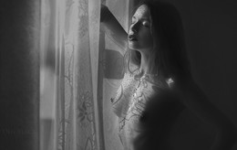 Shadows / ...