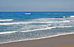 surfen / ***