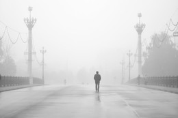 Foggy morning / ***
