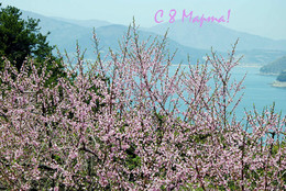 From March 8! / ***