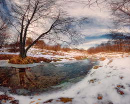 Premonition of spring / ***