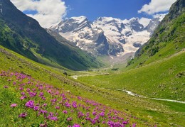 Sommer in den Bergen / ***