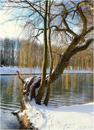 At the water / ***