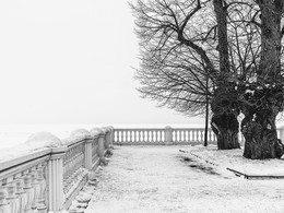Black and White / ***