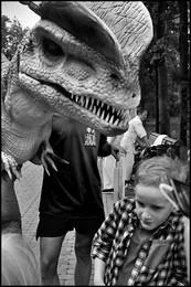 Di / https://youtu.be/xbViPzUbI1A