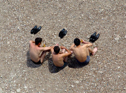 On the beach / ***