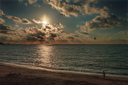 Sunset / ***
