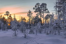 February morning / ***