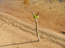 Nach dem Fischen / ***