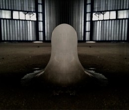  / ***