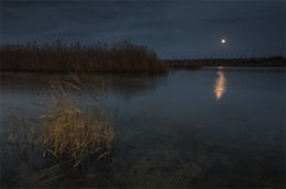 Night / ***