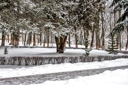 Winter- Skizze. / ***