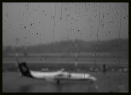 Interrupted Flight / ***