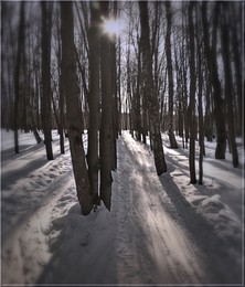 Winter Etude 4 / ***