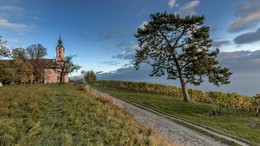Der Weg zum Tempel / ***