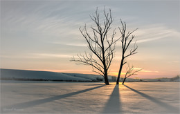 Winter schedule / ***