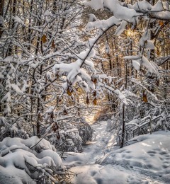We are waiting for spring ... / ***