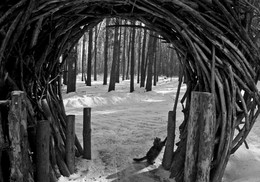 Portal / ***