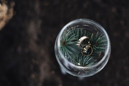 Rings / ***