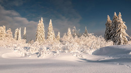 Winter Sunset / ..........