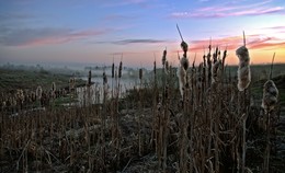 Morgendämmerung / ***