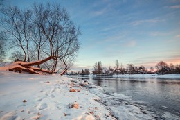 Waiting for Spring / ***