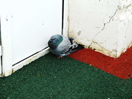 &nbsp; / 2014-10-12-0027-C00-100+C