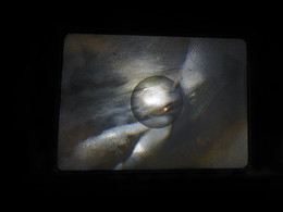 Frühling. Erwachen. / ***