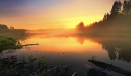 Dawn / -------