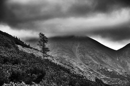 low clouds / ***