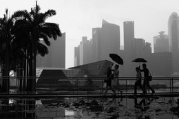 rainy / ***