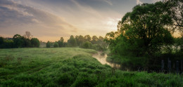 Morgennebel / ***