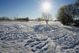 in the sun / ***