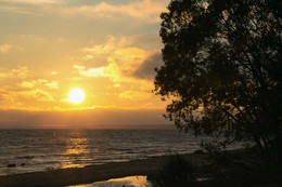 in the sun / ***