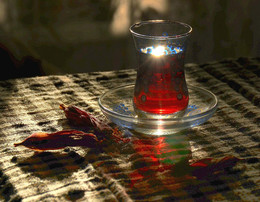 in the sun / ***