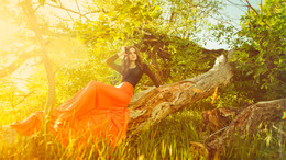 in the sun / ***