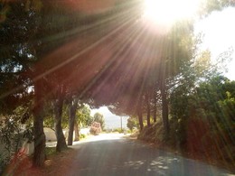 in the sun / ***