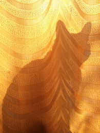 in the sun / ***