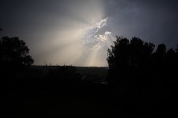 in the sun / ***