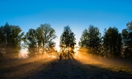 in der Sonne / ***