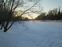in the sun / ***