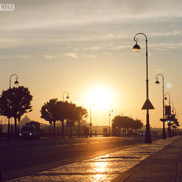 in the sun / ***